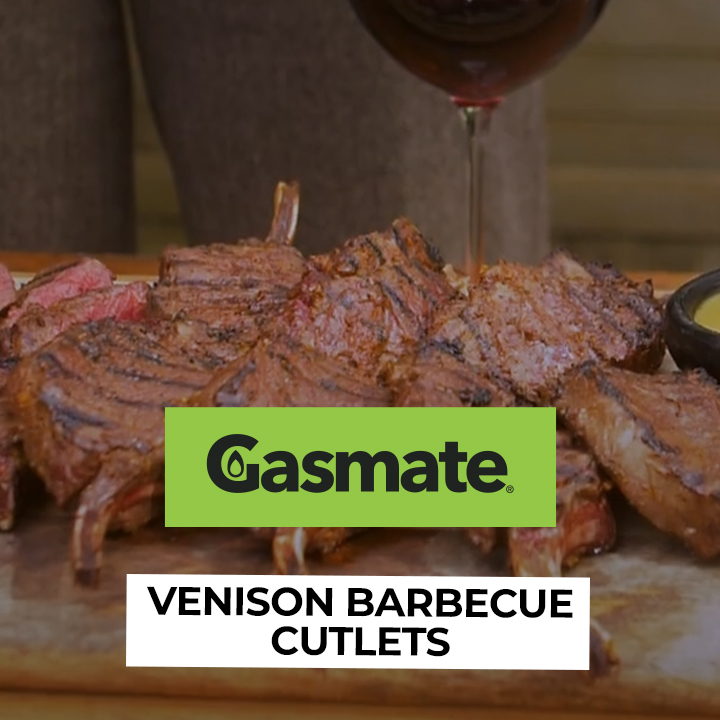 Venison Barbecue Cutlets Square